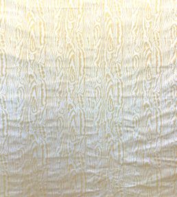 Mancini Fabric by Casal Champagne