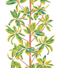 Mangrove Tree Wallpaper by Thibaut Coral