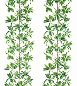 Mangrove Tree Fabric by Thibaut Green and White