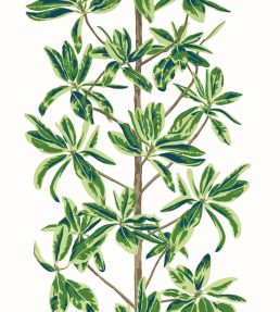 Mangrove Tree Wallpaper by Thibaut Green and White