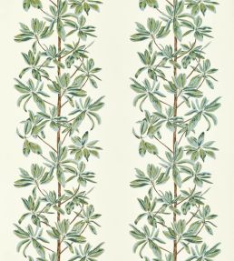 Mangrove Tree Fabric by Thibaut Sage