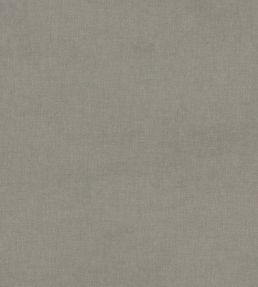 Manolo FR Fabric by Warwick Smoke