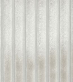 Mantua Cord Fabric by Osborne & Little Ivory