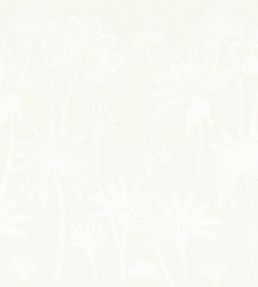Maracujas Fabric by Camengo Milk