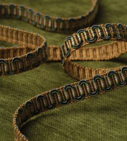 Margaux Gimp Trimming by Samuel & Sons Mandarine