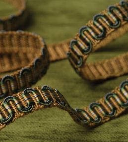 Margaux Gimp Trimming by Samuel & Sons Mandarine