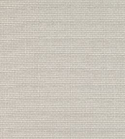 Shifu Wallpaper by Mark Alexander Pearl