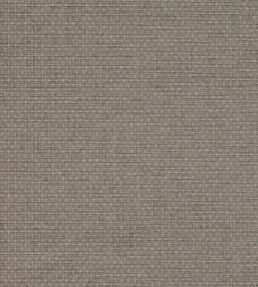 Shifu Wallpaper by Mark Alexander Sea Mist