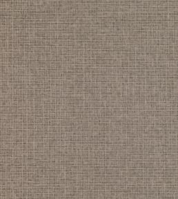 Shifu Wallpaper by Mark Alexander Bark