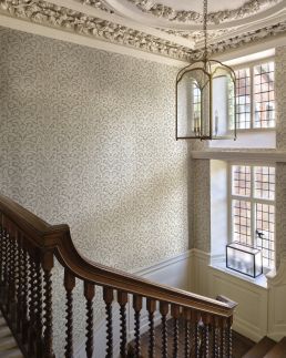 Marlborough Wallpaper by Fermoie Orange