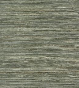Maroma Wallpaper by Thibaut Olive