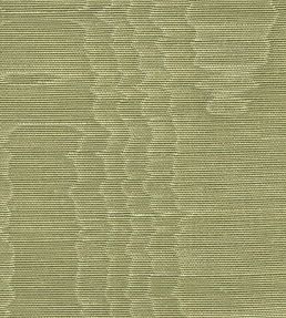Misa Moire Plain Fabric by Marvic Jade