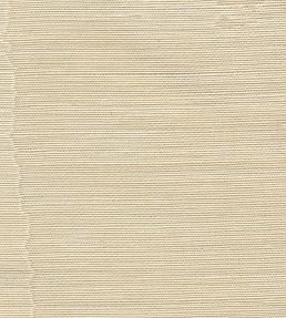 Misa Moire Plain Fabric by Marvic Champagne