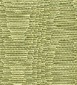 Misa Moire Plain Fabric by Marvic Gooseberry