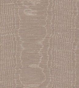 Misa Moire Plain Fabric by Marvic Chamois