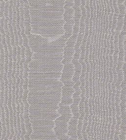 Misa Moire Plain Fabric by Marvic Grey