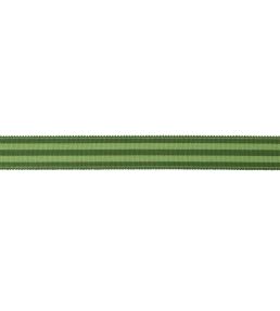 MDS Stripe Border 2.6cm Trimming by Samuel & Sons Evergreen