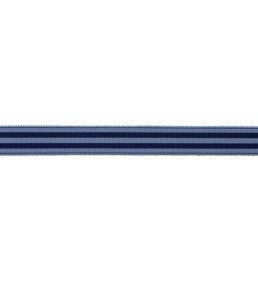 MDS Stripe Border 2.6cm Trimming by Samuel & Sons Navy