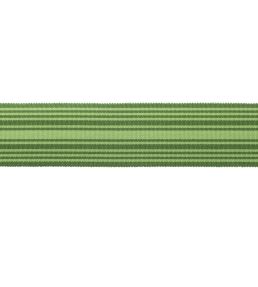 MDS Stripe Border 5.1cm Trimming by Samuel & Sons Evergreen