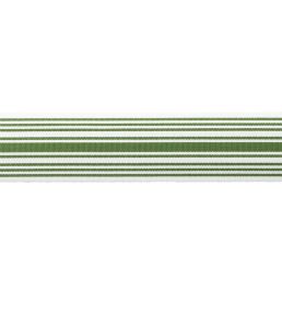 MDS Stripe Border 5.1cm Trimming by Samuel & Sons Fern
