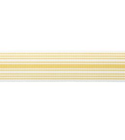 MDS Stripe Border 5.1cm Trimming by Samuel & Sons Jonquil