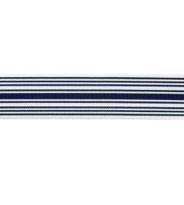 MDS Stripe Border 5.1cm Trimming by Samuel & Sons Sapphire