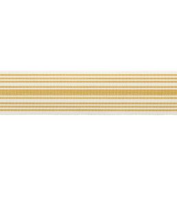 MDS Stripe Border 5.1cm Trimming by Samuel & Sons Wheat