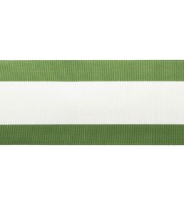 MDS Stripe Border Trimming by Samuel & Sons Fern