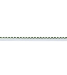 MDS Stripe Cord Trimming by Samuel & Sons Fern