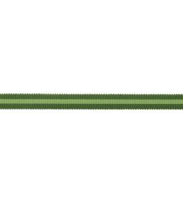 MDS Stripe Gimp Trimming by Samuel & Sons Evergreen