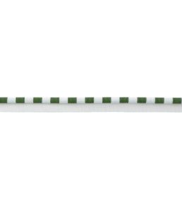 MDS Stripe Piping Trimming by Samuel & Sons Fern