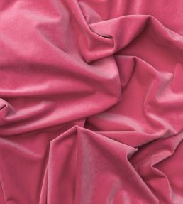 Medici Fabric by Andrew Martin Geranium