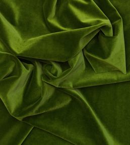 Medici Fabric by Andrew Martin Ivy