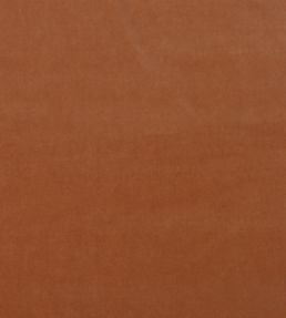 Medici Fabric by Andrew Martin Pigment
