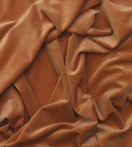 Medici Fabric by Andrew Martin Pigment