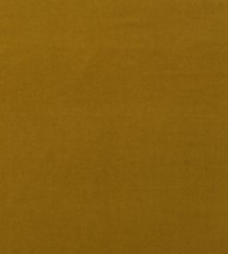 Medici Fabric by Andrew Martin Quince