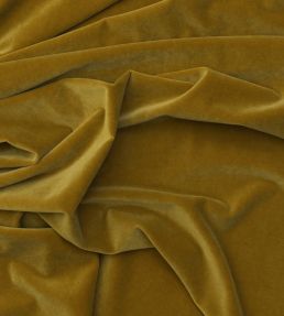 Medici Fabric by Andrew Martin Quince