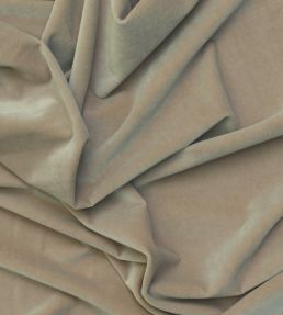 Medici Fabric by Andrew Martin Stone