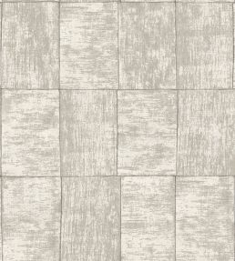 Medinilla Wallpaper by Jannelli&Volpi Grey
