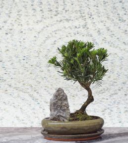 Meditation Stone Wallpaper by Cole & Son Stone