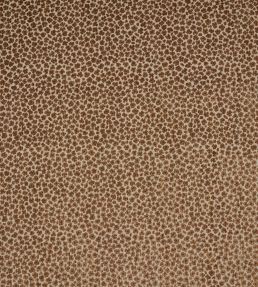 Mellar Fabric by Colefax And Fowler Sienna