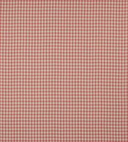 Minack Check Fabric by Colefax and Fowler Brick