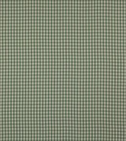Minack Check Fabric by Colefax and Fowler Green