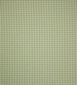 Minack Check Fabric by Colefax and Fowler Leaf