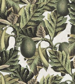 Exotic Fruit I Wallpaper by MINDTHEGAP Green