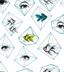 Fish Eye Wallpaper by MINDTHEGAP Aqua