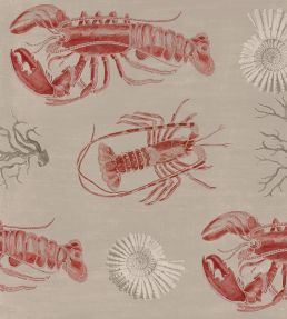 Lobster Wallpaper by MINDTHEGAP Taupe