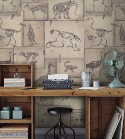 Zooarchaeology Wallpaper by MINDTHEGAP Brown