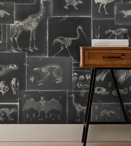 Zooarchaeology Wallpaper by MINDTHEGAP Anthracite