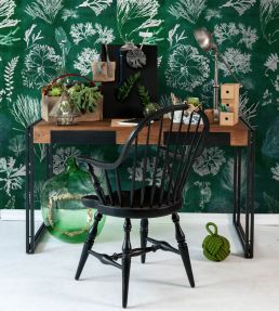 Algae Wallpaper by MINDTHEGAP Moss
